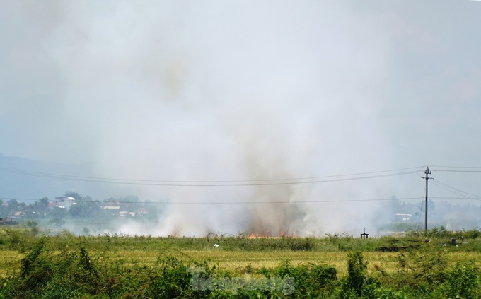 Straw burning rampant in Thua Thien-Hue - 1