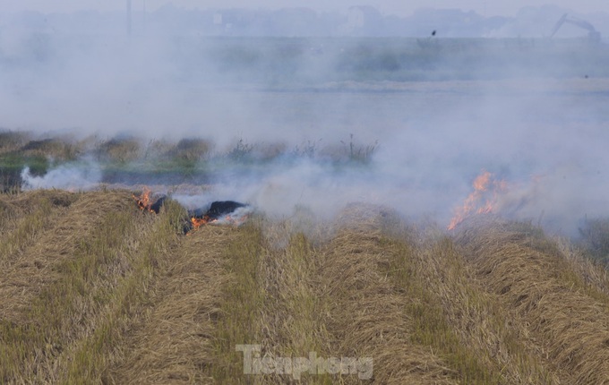 Straw burning plagues drivers on national highway - 3 Straw burning plagues drivers on national highway - 3