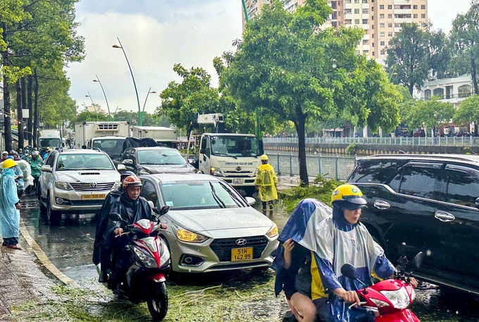 Heavy rains knock down trees, cause traffic jams in HCM City - 2