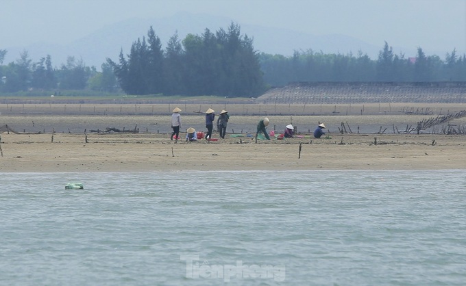 Oyster and clam hunting on central beaches - 1