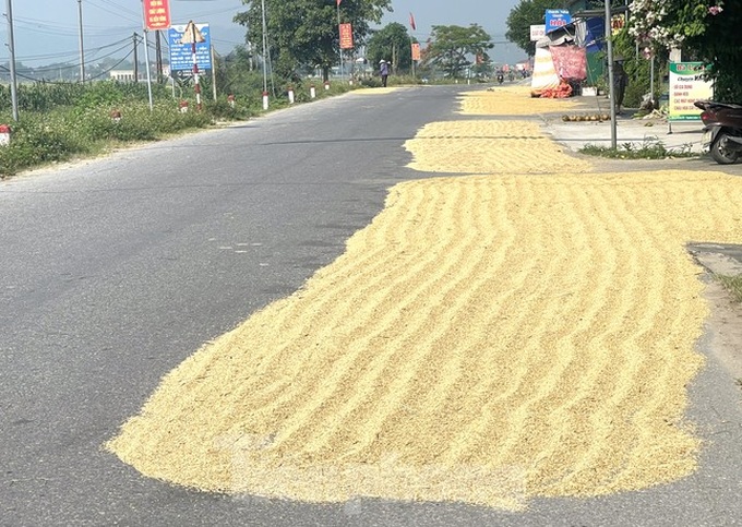 Roads encroached for drying rice - 1 Roads encroached for drying rice - 1