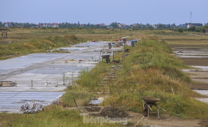 Ha Tinh farmers turn away from salt making - 4