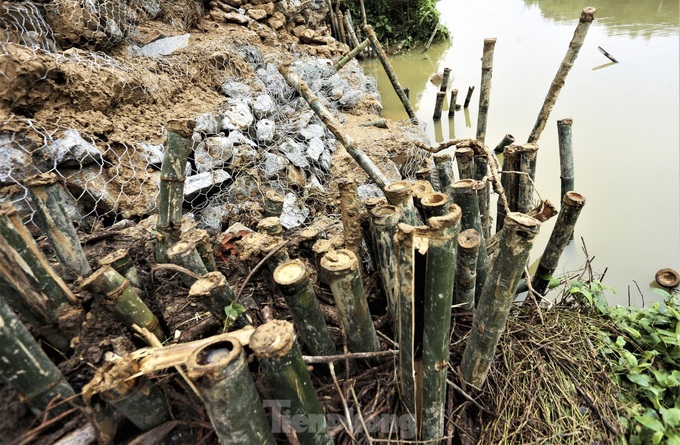 Ha Tinh households threatened by riverbank erosion - 5 Ha Tinh households threatened by riverbank erosion - 5