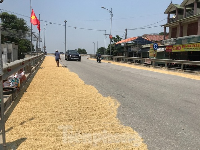 Roads encroached for drying rice - 5 Roads encroached for drying rice - 5