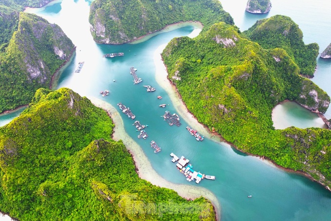 Ha Long fishing village renovation under way - 1 Ha Long fishing village renovation under way - 1