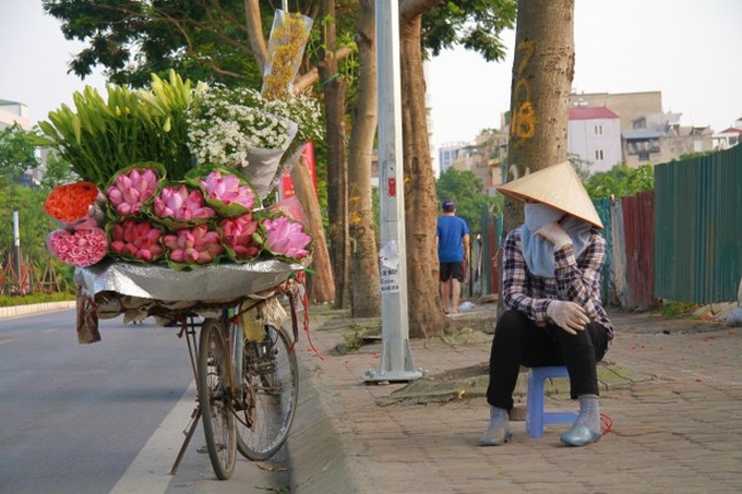 Lotus flower season arrives on Hanoi streets - 1