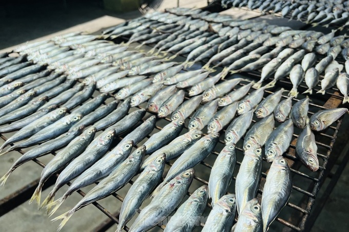 Nghe An’s famous grilled fish village - 1