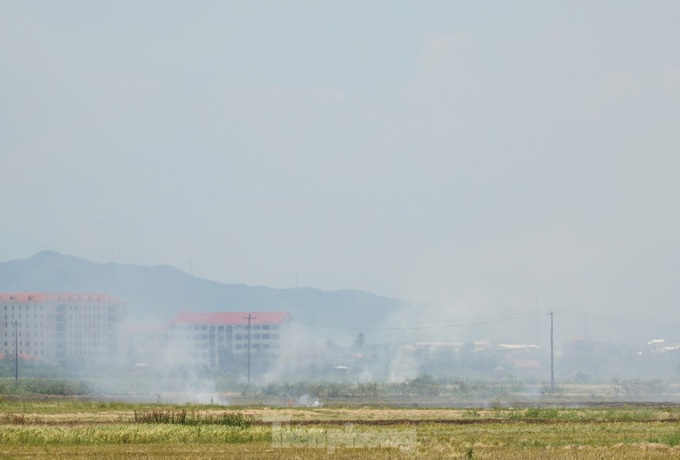 Straw burning rampant in Thua Thien-Hue - 2