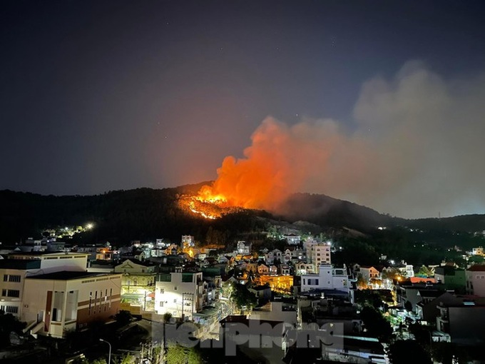 Two consecutive forest fires occur in Ha Long - 1