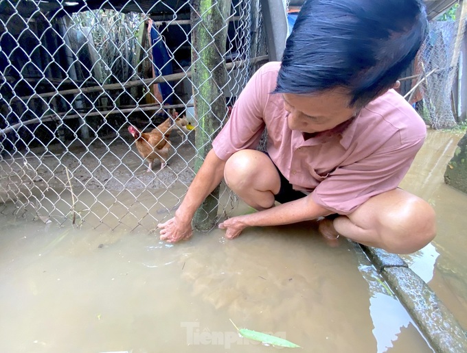 Nghe An’s riverside residents struggle with prolonged flooding - 2