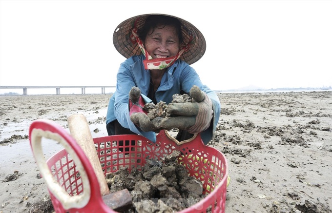 Oyster and clam hunting on central beaches - 7