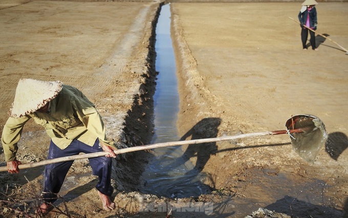 Ha Tinh farmers turn away from salt making - 5