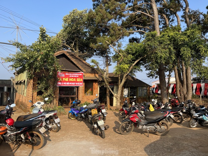 Thousands enjoy free coffee in Buon Ma Thuot - 4