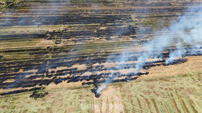 Straw burning rampant in Thua Thien-Hue - 3