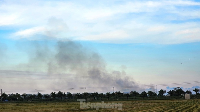 Straw burning rampant in Thua Thien-Hue - 4