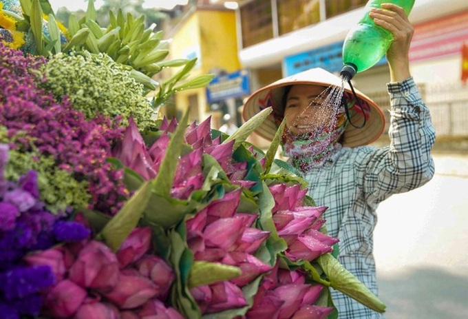 Lotus flower season arrives on Hanoi streets - 2