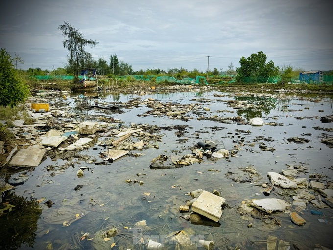 Rubbish threatens Quang Ngai river - 5 Rubbish threatens Quang Ngai river - 5