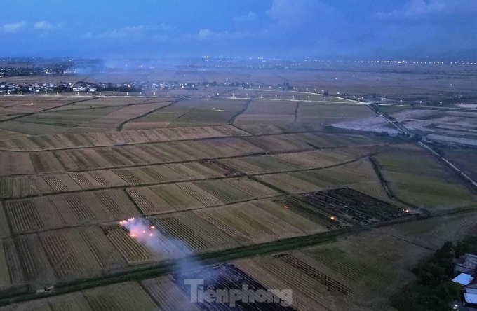 Straw burning rampant in Thua Thien-Hue - 5