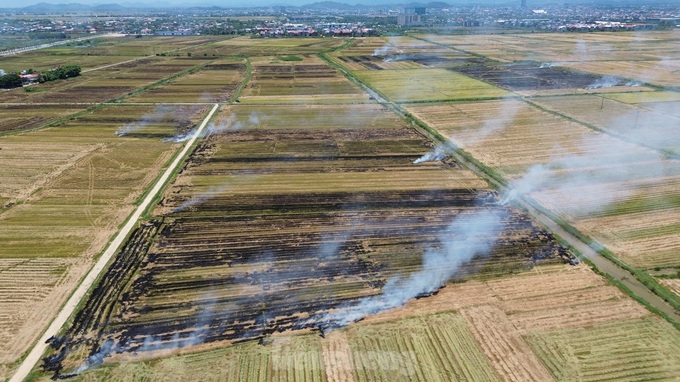 Straw burning rampant in Thua Thien-Hue - 6