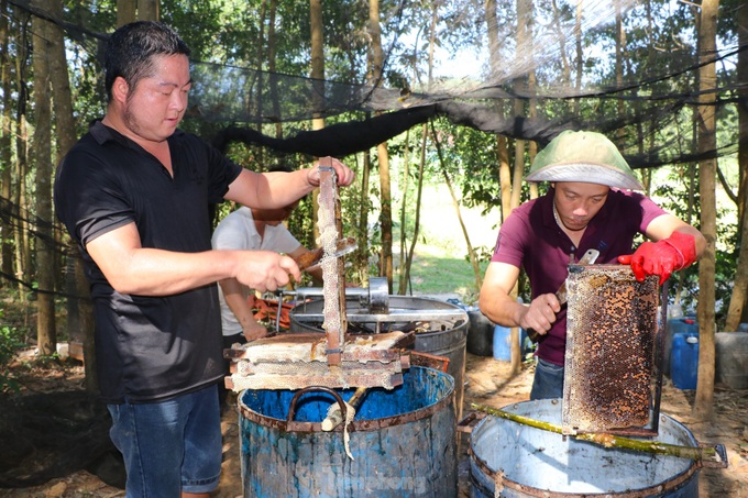 Nomadic beekeeping season in Nghe An - 7 Nomadic beekeeping season in Nghe An - 7