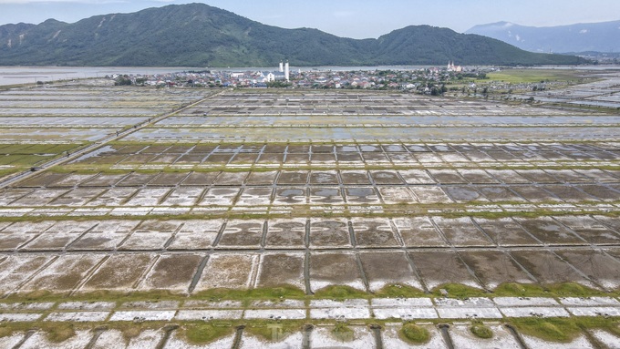 Ha Tinh farmers turn away from salt making - 2