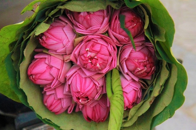 Lotus flower season arrives on Hanoi streets - 4