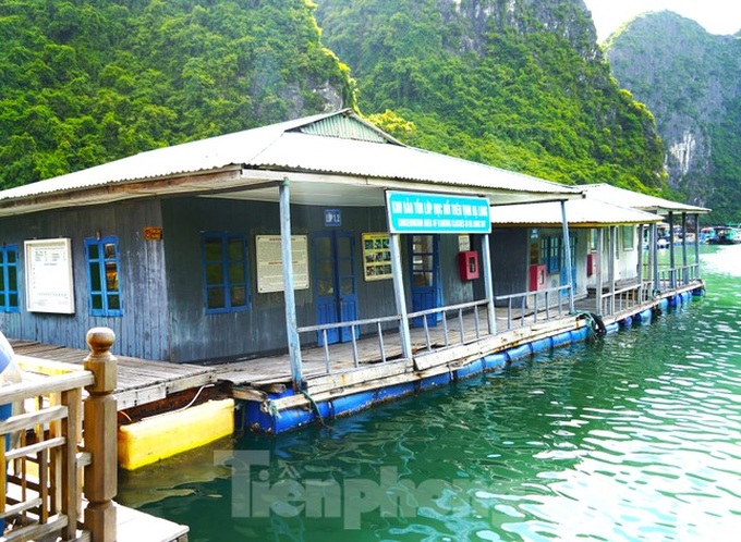 Ha Long Bay fishing village could disappear - 1