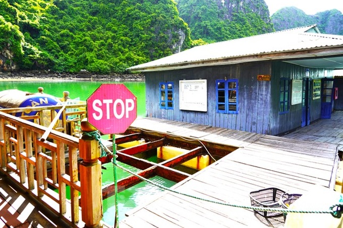 Ha Long Bay fishing village could disappear - 8