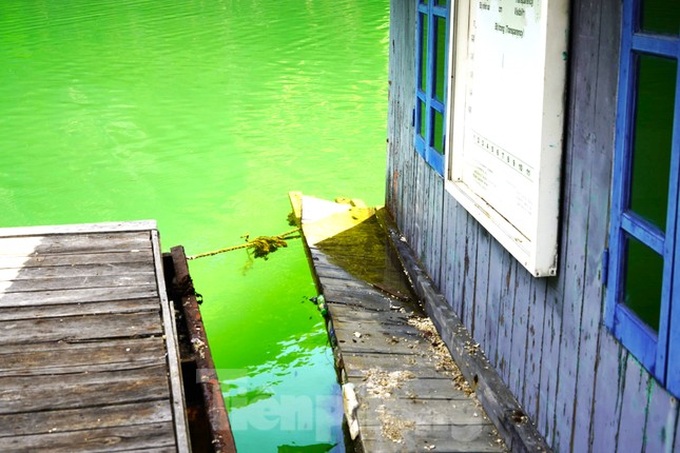 Ha Long Bay fishing village could disappear - 6