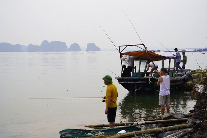 People flock to fish following typhoon - 1