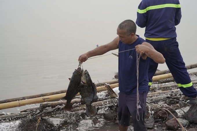 People flock to fish following typhoon - 2