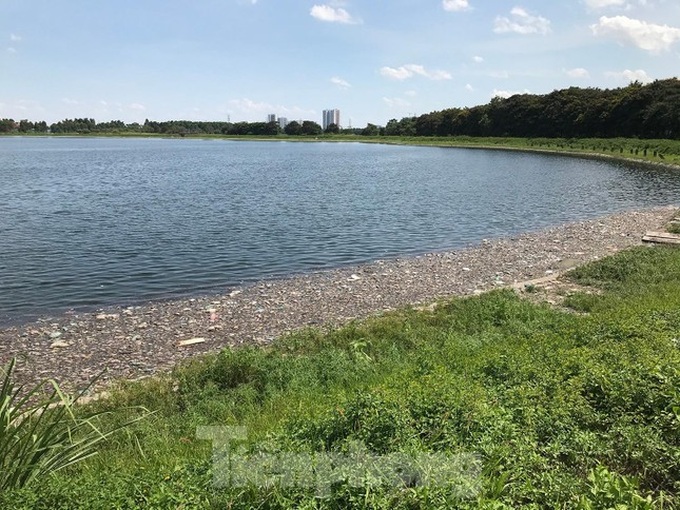 Hanoi lake experiences mass fish deaths - 1 Hanoi lake experiences mass fish deaths - 1