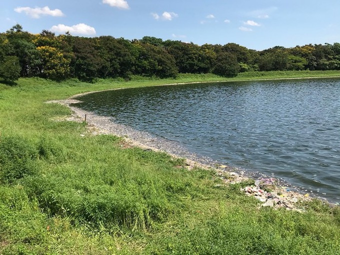 Hanoi lake experiences mass fish deaths - 3 Hanoi lake experiences mass fish deaths - 3