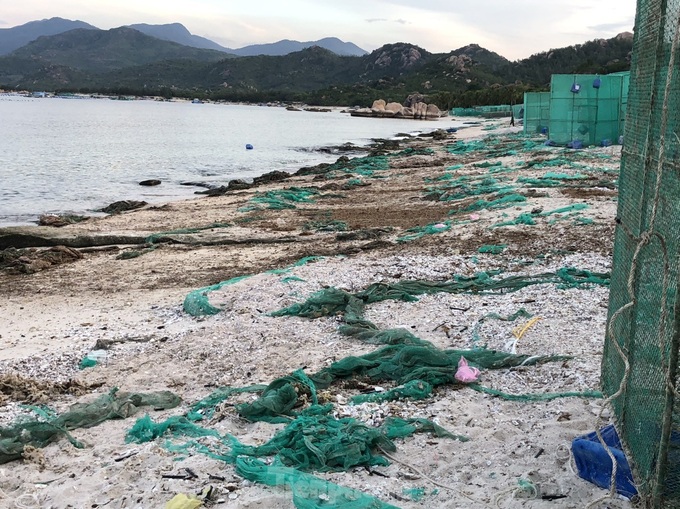Khanh Hoa beach threatened by lobster farming - 1 Khanh Hoa beach threatened by lobster farming - 1