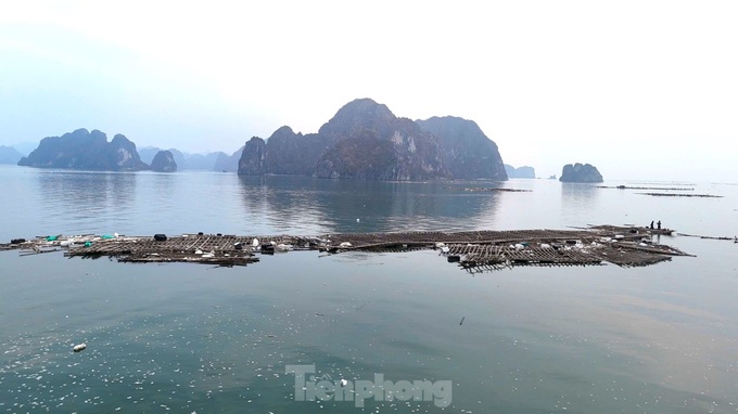 Litter engulfs Ha Long Bay after typhoon - 2