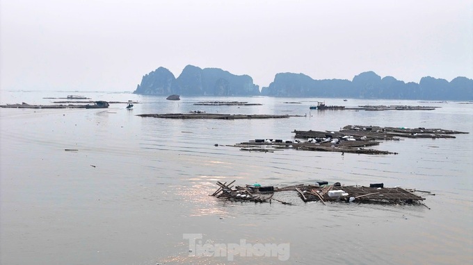 Litter engulfs Ha Long Bay after typhoon - 1