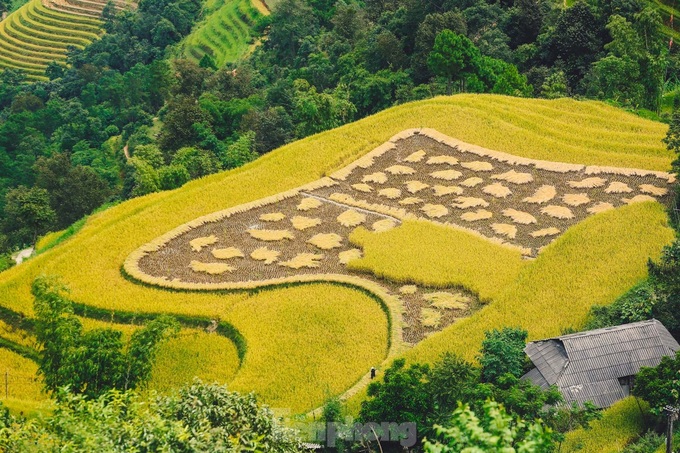 Beauty of Ha Giang terraced fields - 6 Beauty of Ha Giang terraced fields - 6