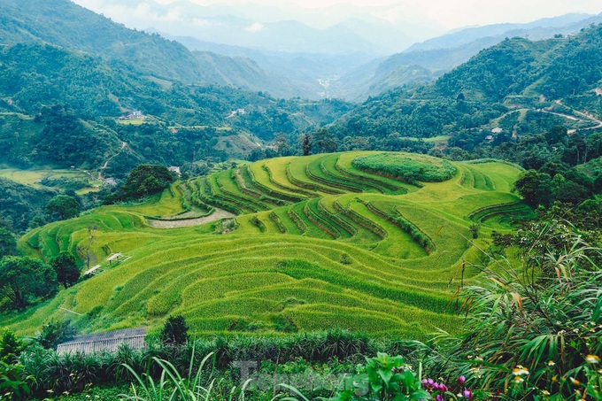 Beauty of Ha Giang terraced fields - 9 Beauty of Ha Giang terraced fields - 9