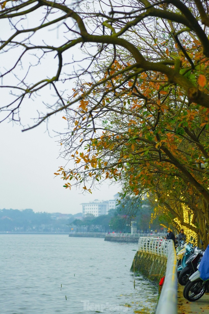 Hanoi in the changing season - 5