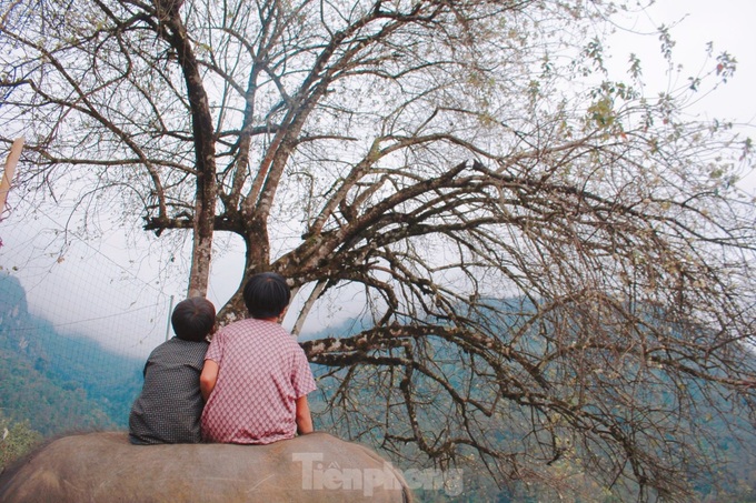 Docynia indica flower season in Lai Chau - 4 Docynia indica flower season in Lai Chau - 4