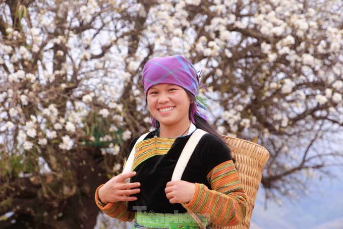 Docynia indica flower season in Lai Chau - 2 Docynia indica flower season in Lai Chau - 2