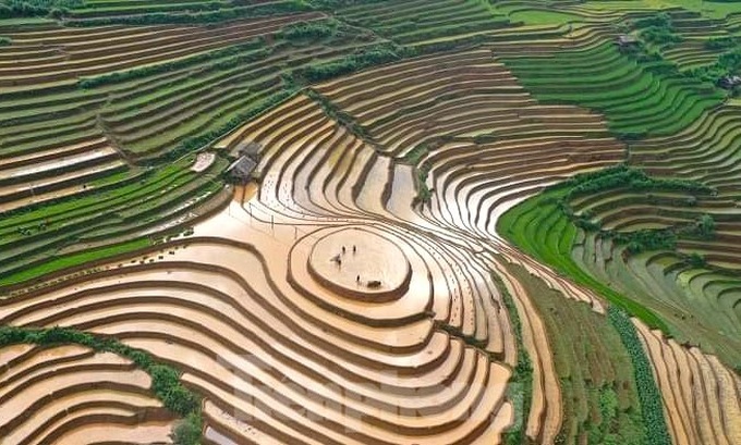 Mu Cang Chai’s terraced rice fields glitter during planting season - 1 Mu Cang Chai’s terraced rice fields glitter during planting season - 1