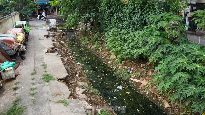 Hanoi canals face severe pollution - 3
