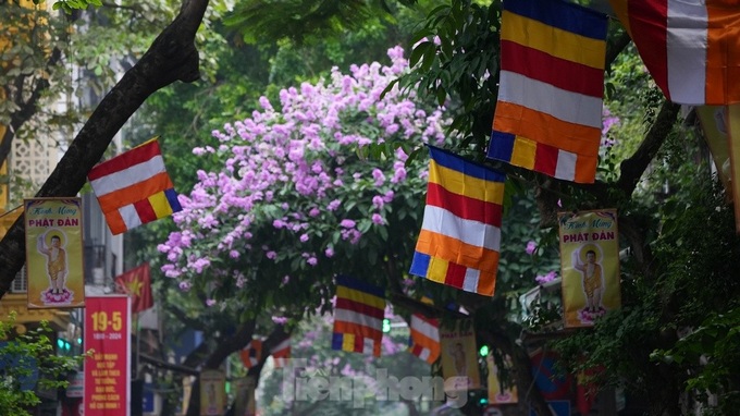 Buddha’s birthday atmosphere in Hanoi - 3