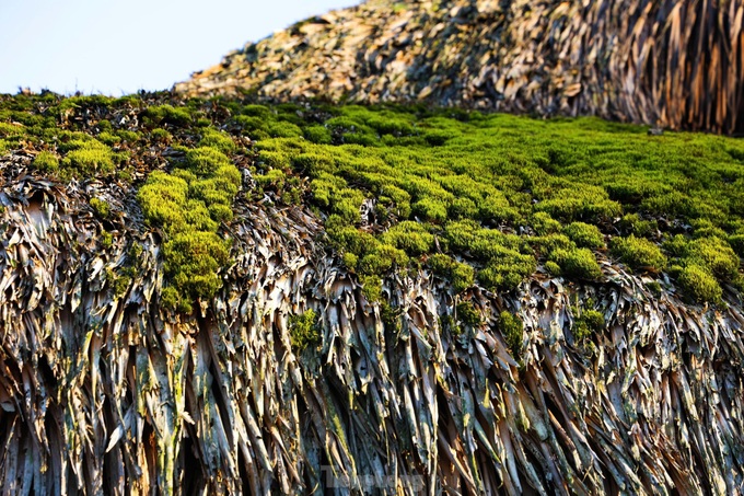 Beautiful moss-covered stilt houses in Ha Giang - 4