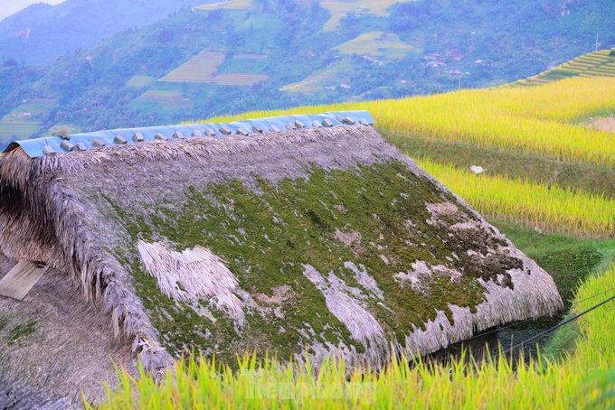 Beautiful moss-covered stilt houses in Ha Giang - 5