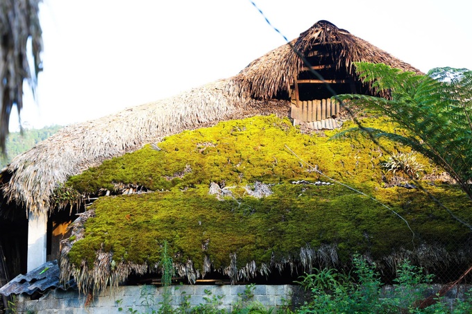 Beautiful moss-covered stilt houses in Ha Giang - 6