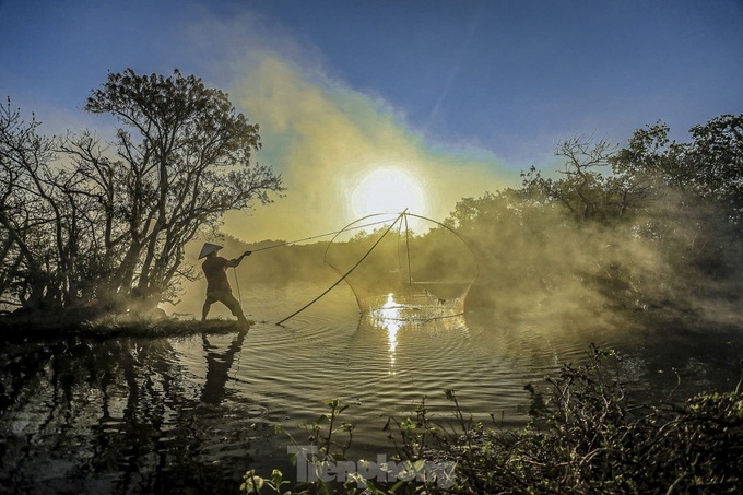 Thua Thien-Hue forest at season's change - 7