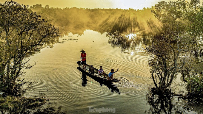 Thua Thien-Hue forest at season's change - 6