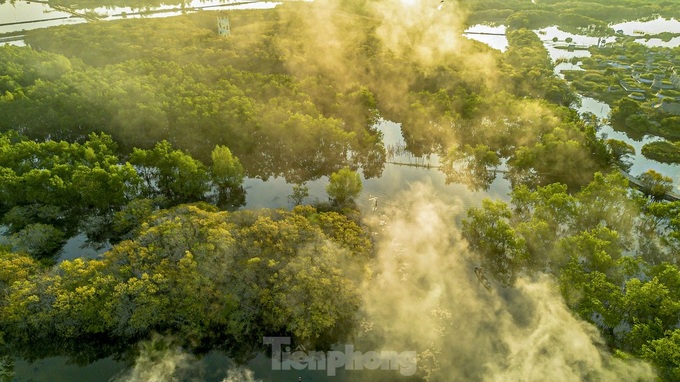 Thua Thien-Hue forest at season's change - 5